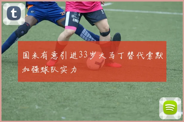 国米有意引进33岁大马丁替代索默加强球队实力