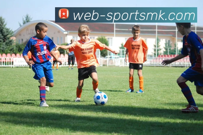 MK体育服务体系